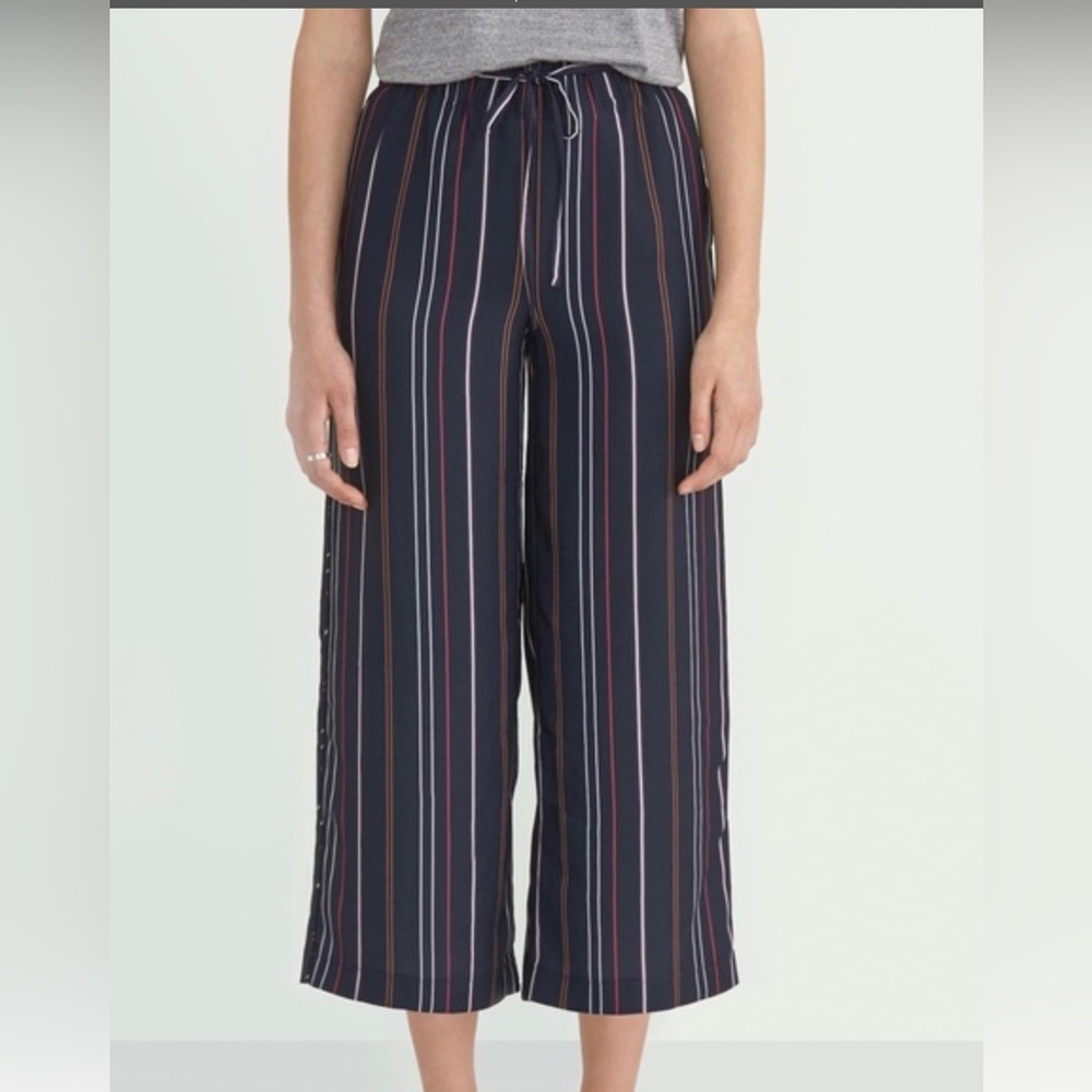 Frank and Oak Navy Striped Pants